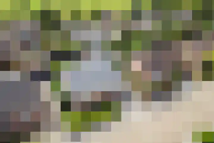 Koningin Wilhelminalaan 7 Vrouwenpolder thumbnail 5