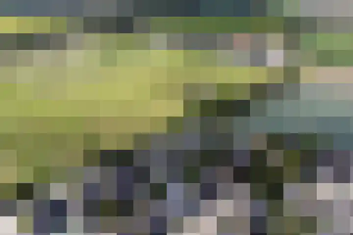 Koningin Wilhelminalaan 7 Vrouwenpolder thumbnail 6