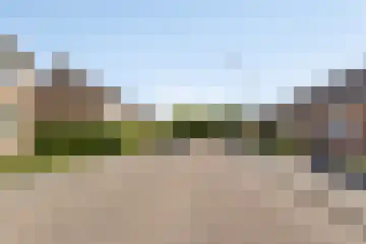 Koningin Wilhelminalaan 7 Vrouwenpolder thumbnail 8