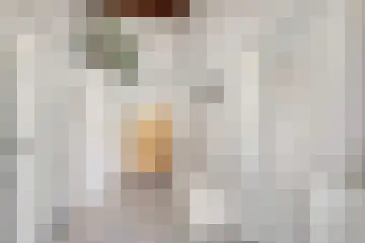 Koningin Wilhelminalaan 7 Vrouwenpolder thumbnail 9