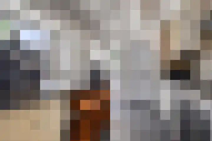 Koningin Wilhelminalaan 76 Swalmen thumbnail 13