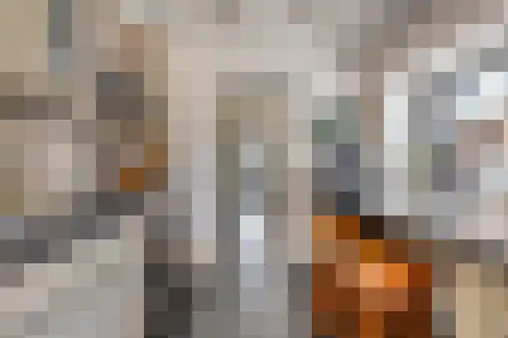 Koningin Wilhelminalaan 76 Swalmen thumbnail 15