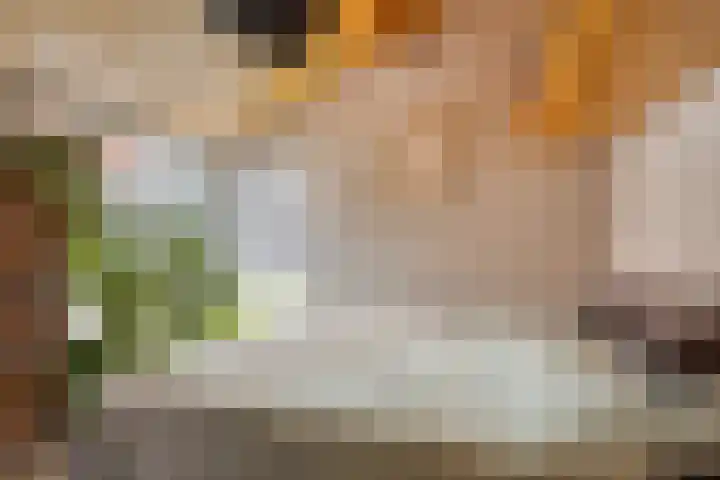 Koningin Wilhelminalaan 76 Swalmen thumbnail 18