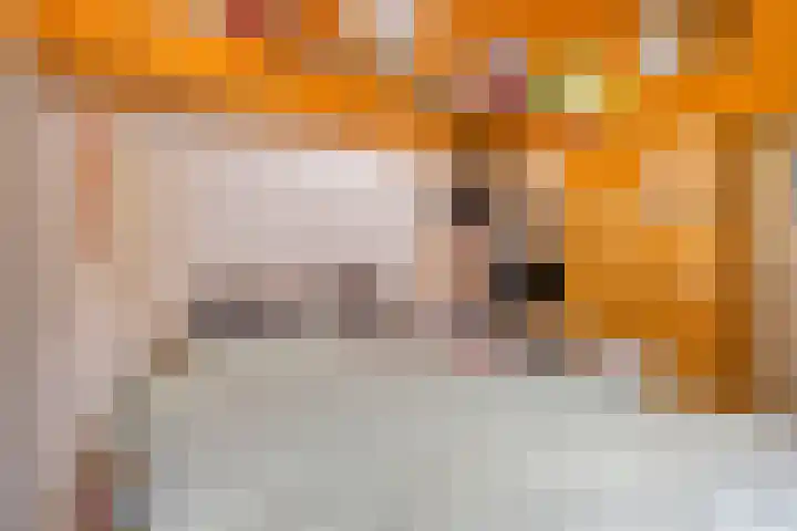 Koningin Wilhelminalaan 76 Swalmen thumbnail 19
