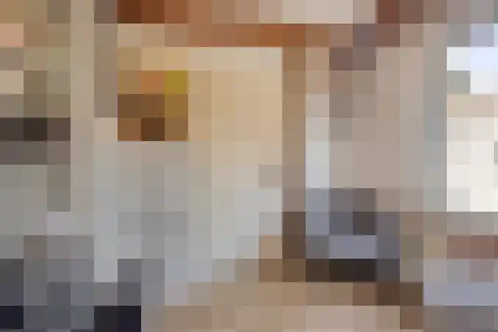 Koningin Wilhelminalaan 76 Swalmen thumbnail 8