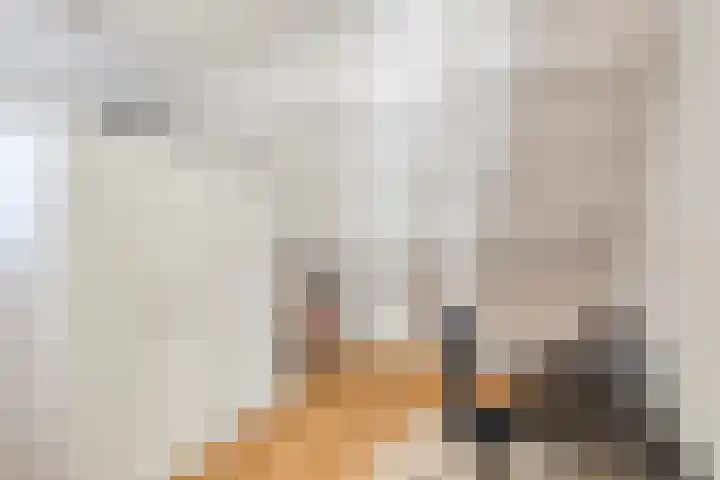 Koningin Wilhelminalaan 8 Kesteren thumbnail 18