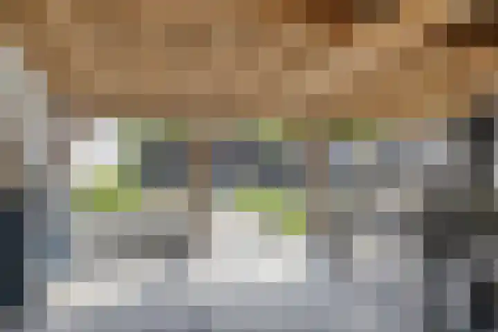 Koningin Wilhelminalaan 8 Kesteren thumbnail 27