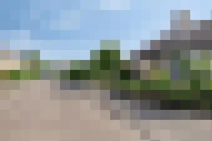 Koningin Wilhelminalaan 8 Kesteren thumbnail 30