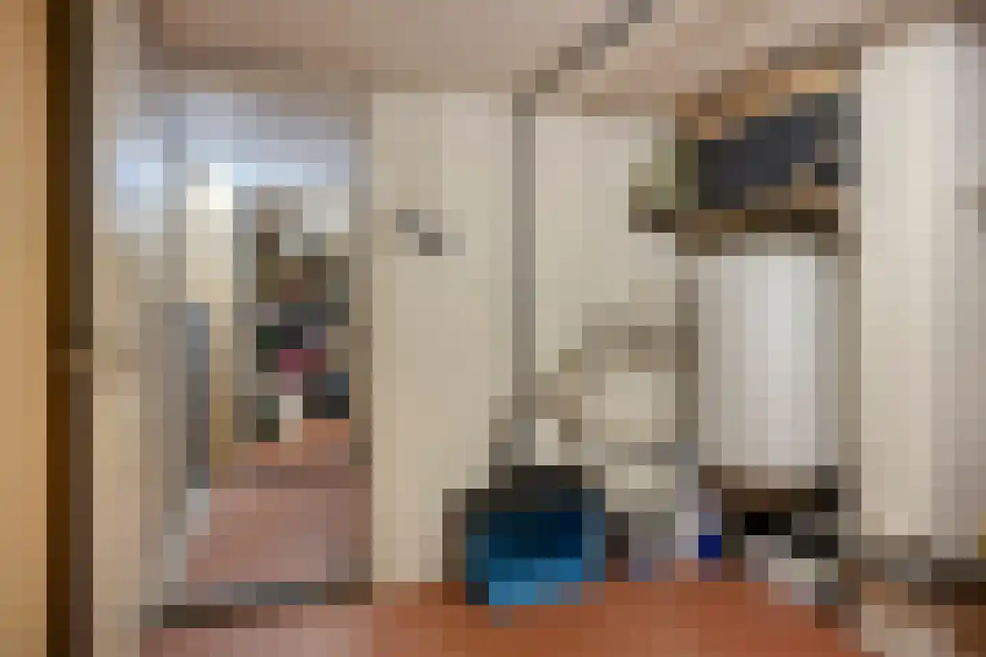 Koningin Wilhelminalaan 8 Varsseveld thumbnail 33