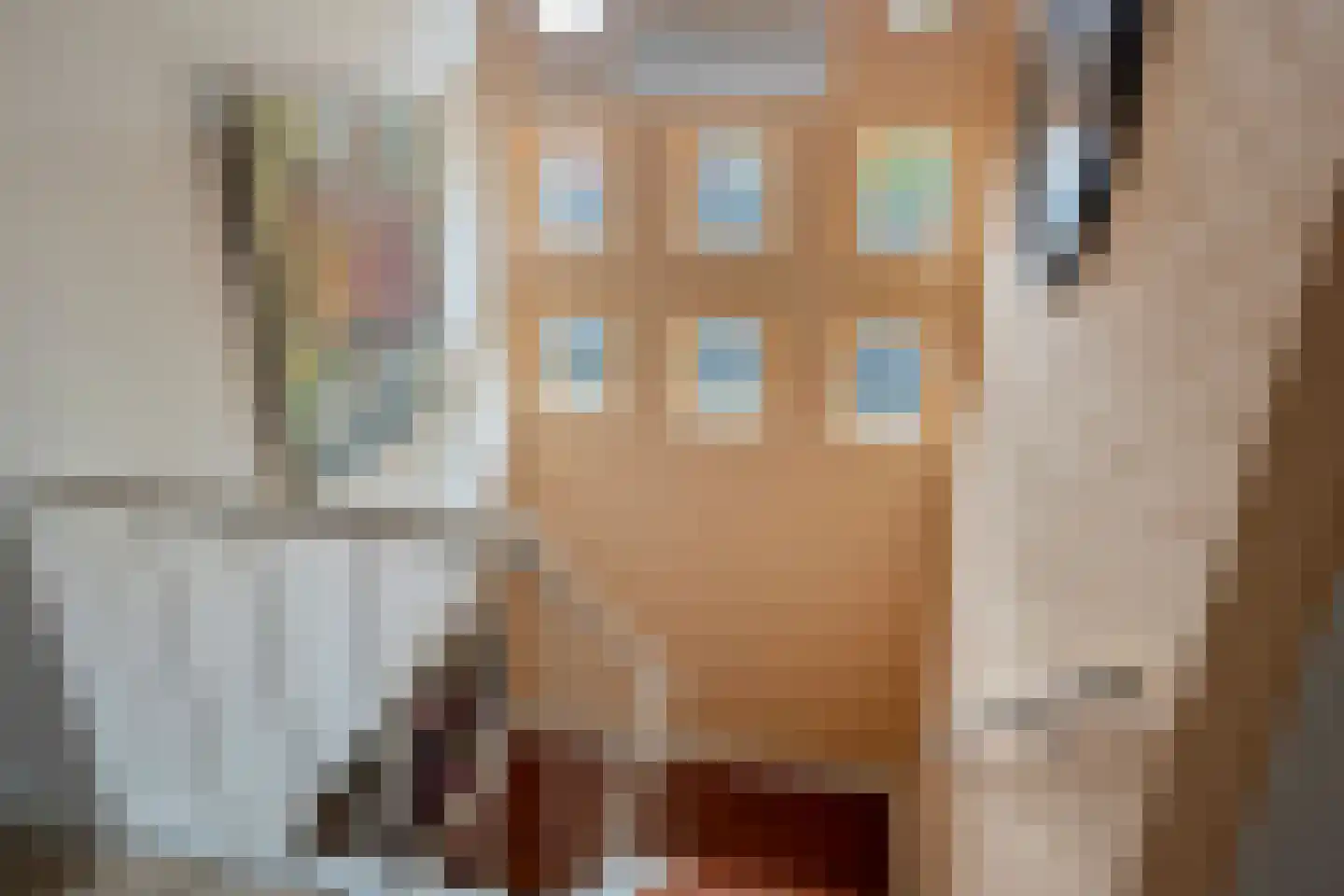 Koningin Wilhelminalaan 8 Varsseveld thumbnail 39
