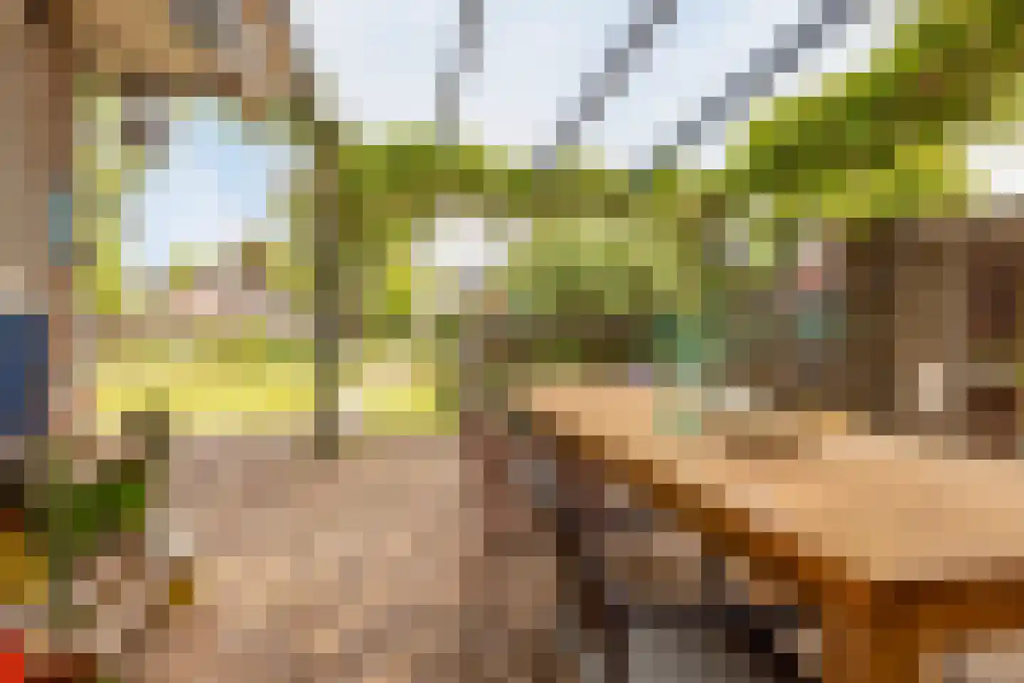 Koningin Wilhelminalaan 8 Varsseveld thumbnail 49