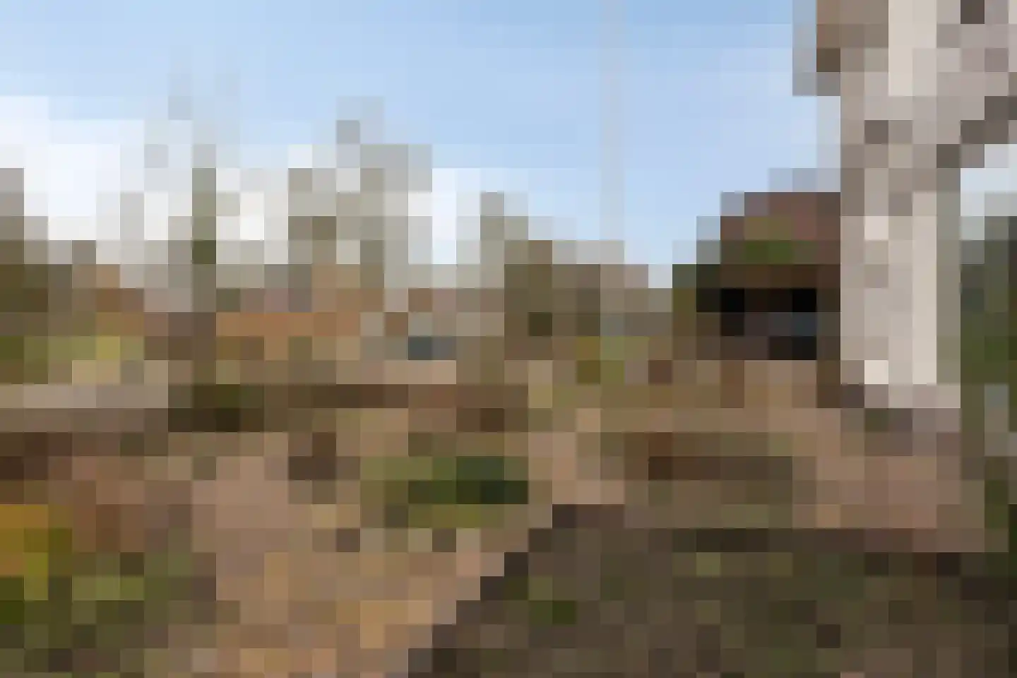Koningin Wilhelminalaan 8 Varsseveld thumbnail 5