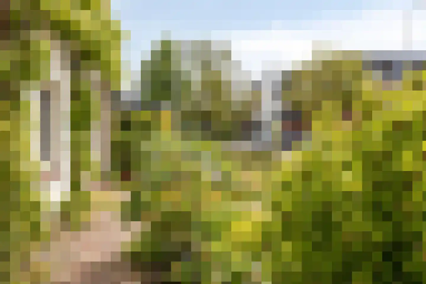 Koningin Wilhelminalaan 8 Varsseveld thumbnail 50