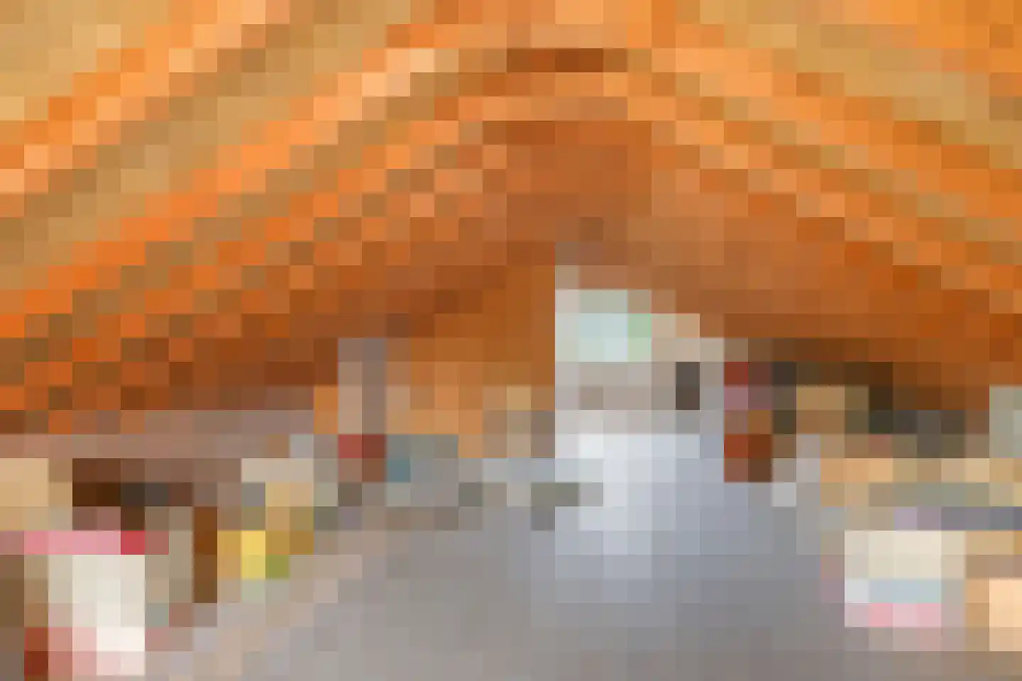 Koningin Wilhelminalaan 8 Varsseveld thumbnail 59