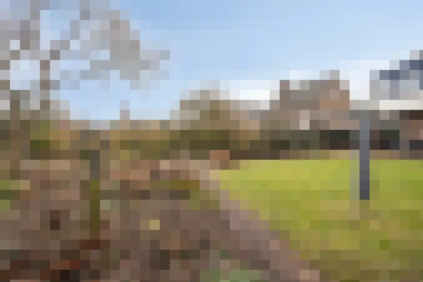 Koningin Wilhelminalaan 8 Varsseveld thumbnail 61