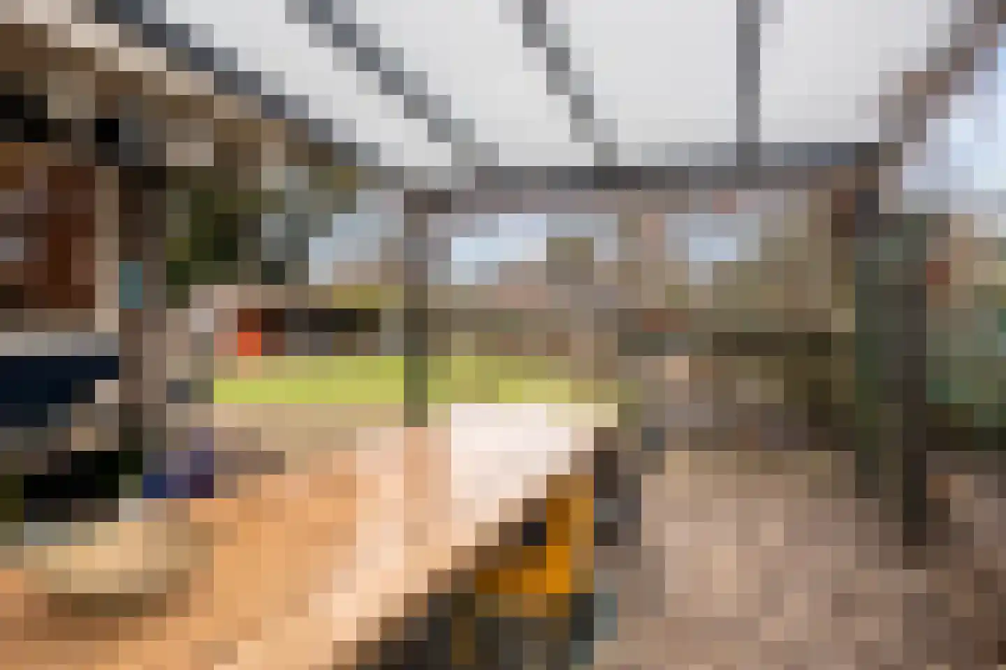 Koningin Wilhelminalaan 8 Varsseveld thumbnail 64