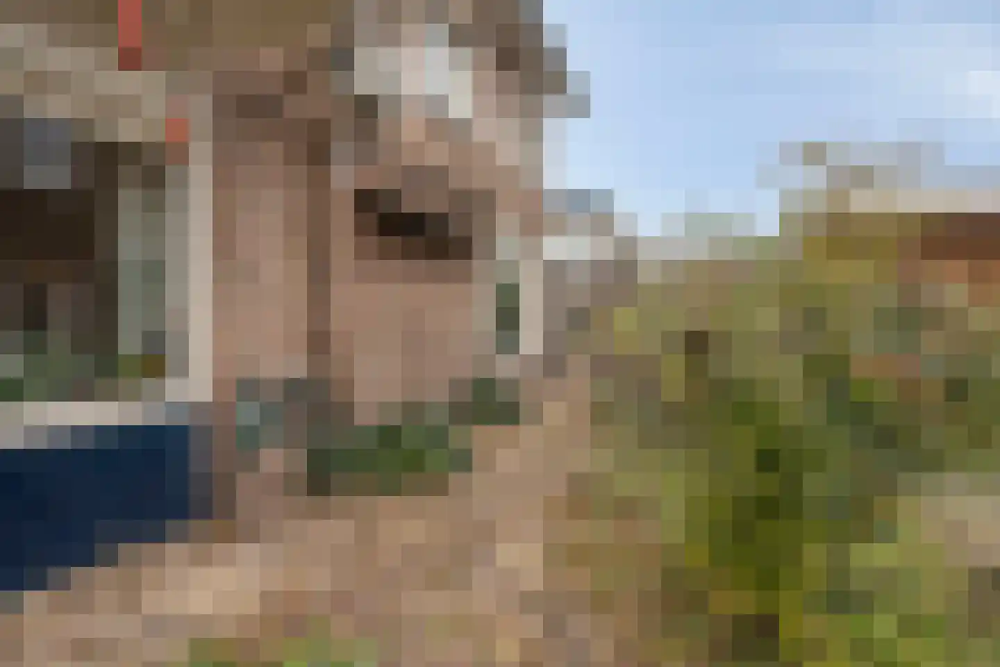 Koningin Wilhelminalaan 8 Varsseveld thumbnail 69