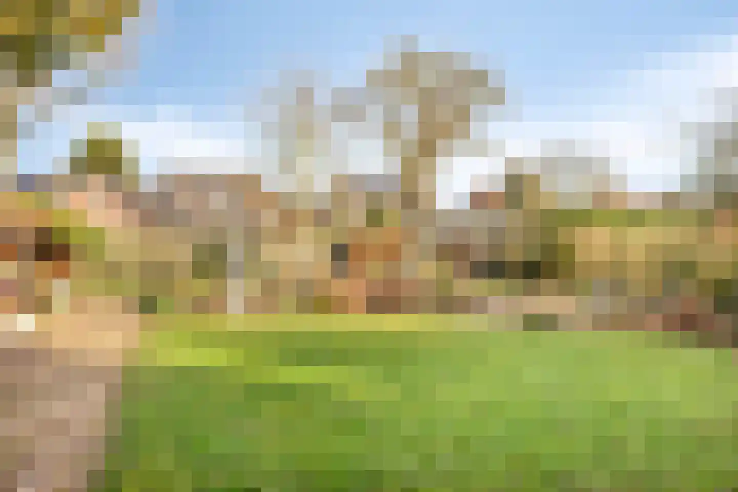 Koningin Wilhelminalaan 8 Varsseveld thumbnail 71