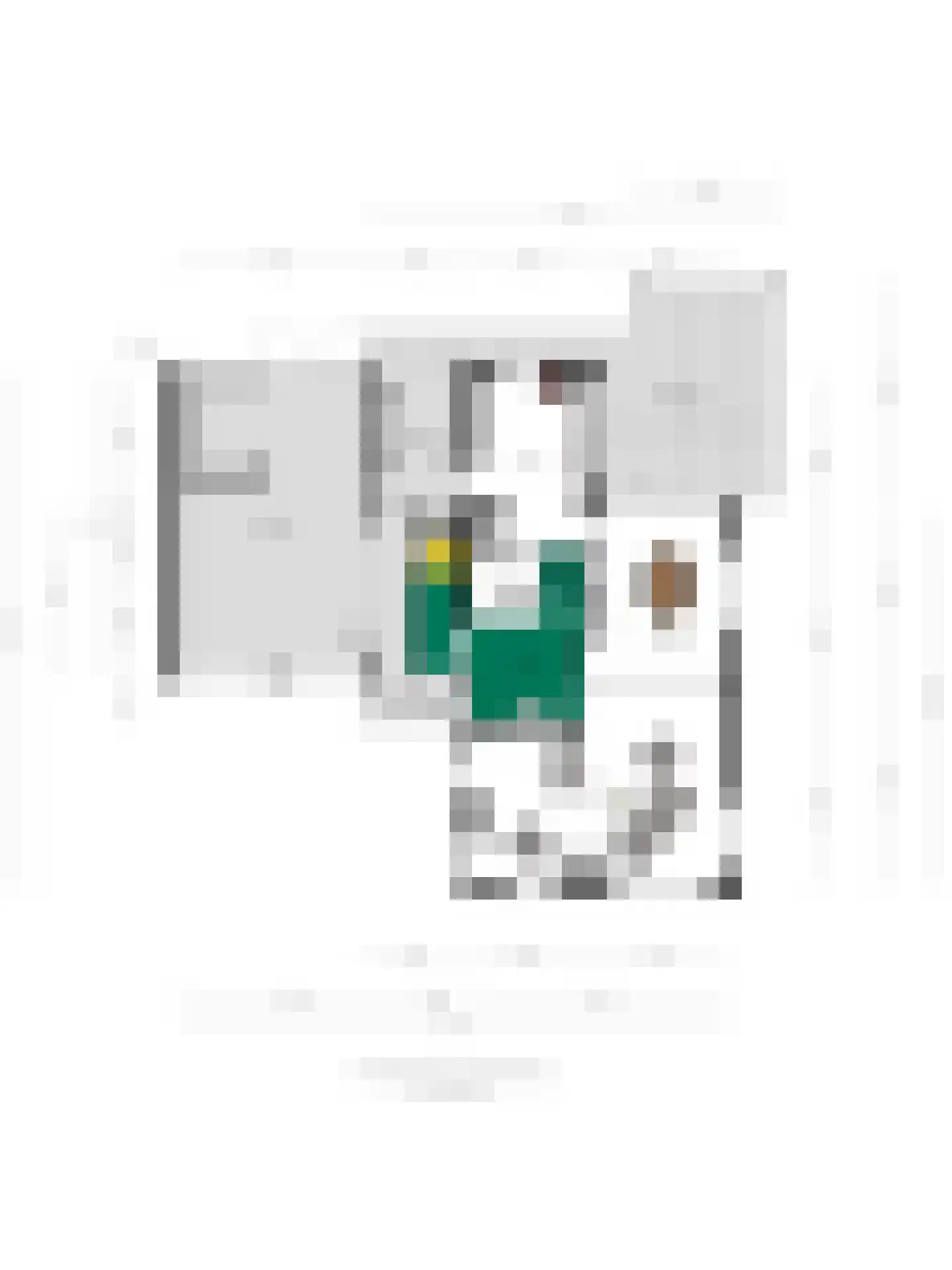 Koningin Wilhelminalaan 8 Varsseveld thumbnail 76
