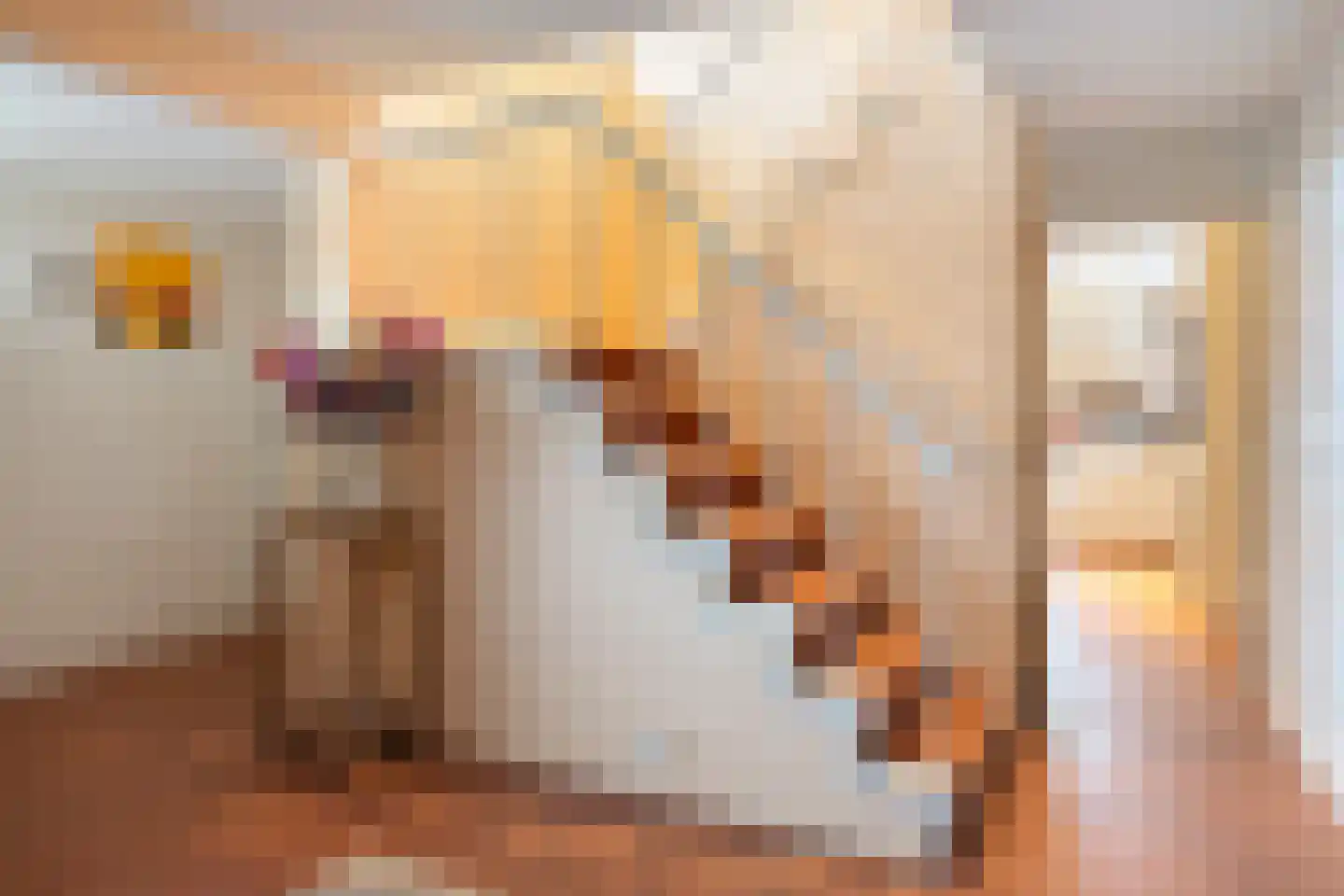 Koningin Wilhelminalaan 8 Varsseveld thumbnail 8