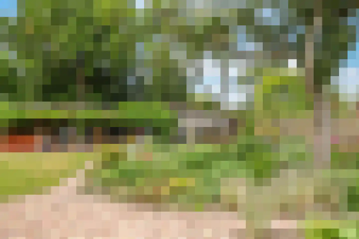 Koningin Wilhelminalaan 8 Varsseveld thumbnail 81