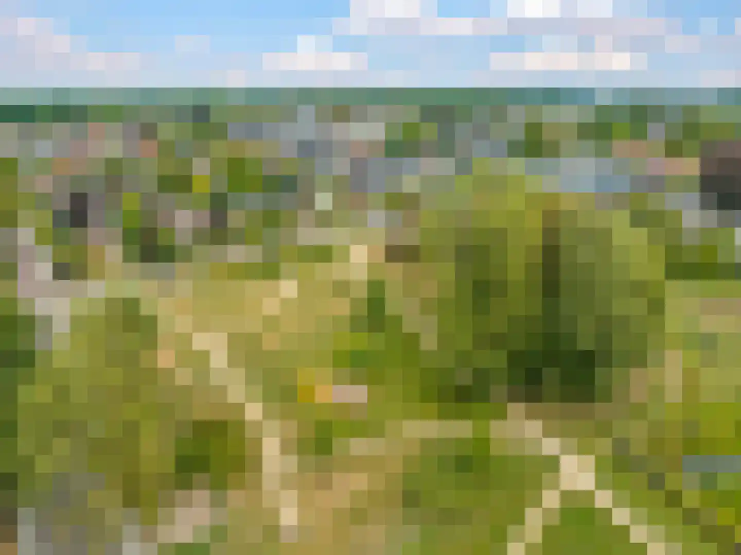 Koningin Wilhelminalaan 8 Varsseveld thumbnail 84
