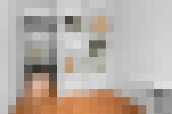 Koningin Wilhelminalaan 81 Deventer thumbnail 6