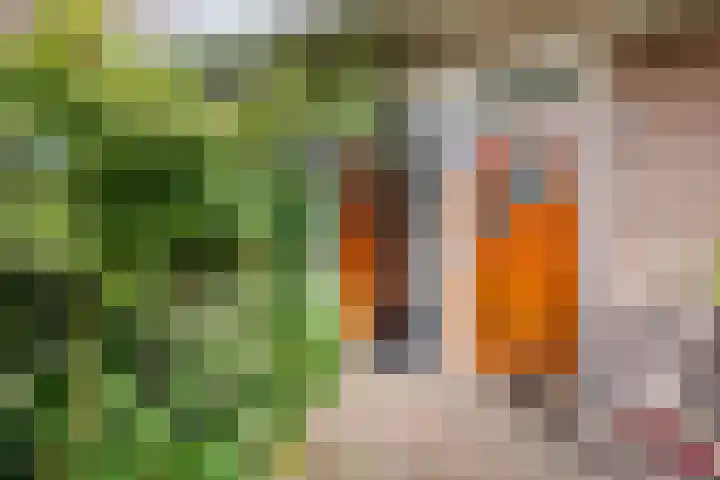 Koningin Wilhelminalaan 85 Voorburg thumbnail 5