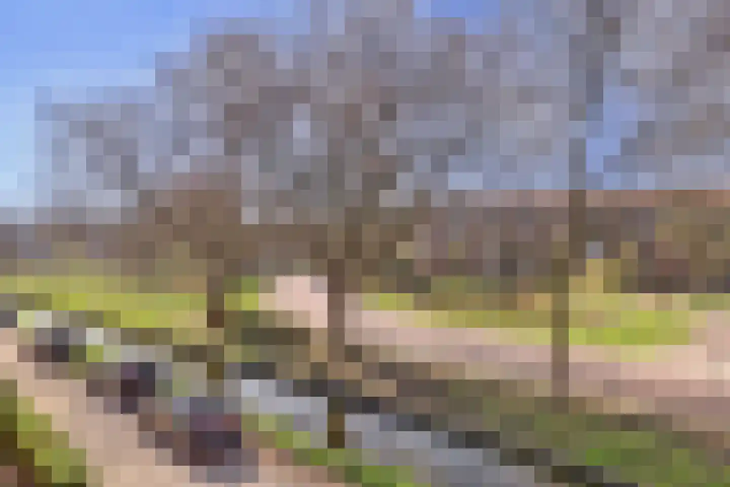 Koningin Wilhelminalaan 89 Gorinchem thumbnail 33