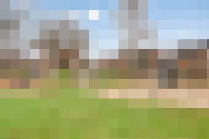 Koningin Wilhelminalaan 92 Swalmen thumbnail 42