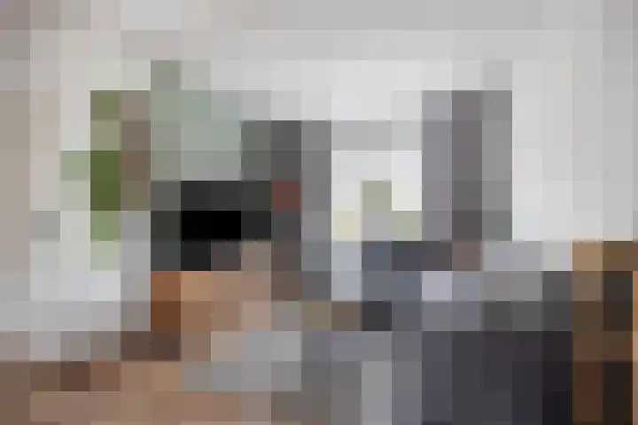 Koningin Wilhelminalaan 92 Swalmen thumbnail 8