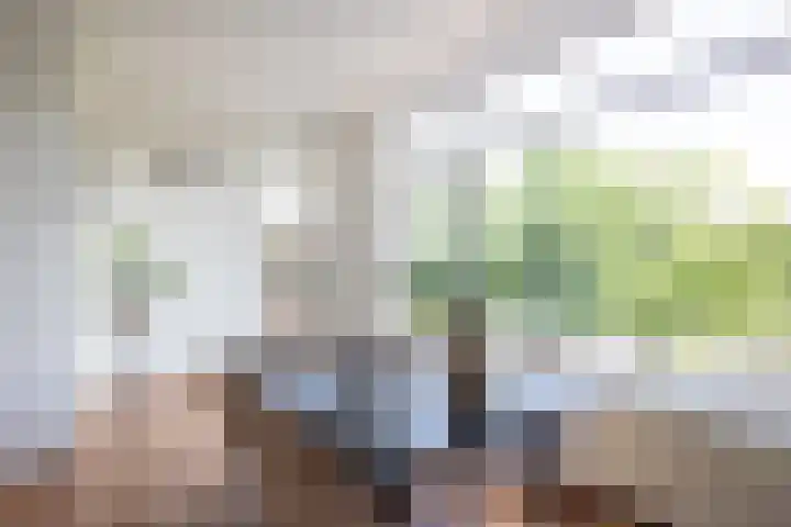 Koningin Wilhelminalaan 93 Utrecht thumbnail 7