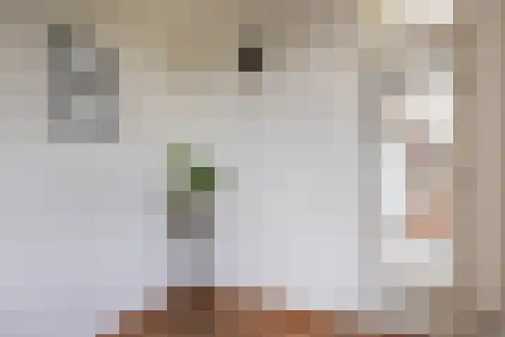 Koningin Wilhelminalaan 93 Utrecht thumbnail 8