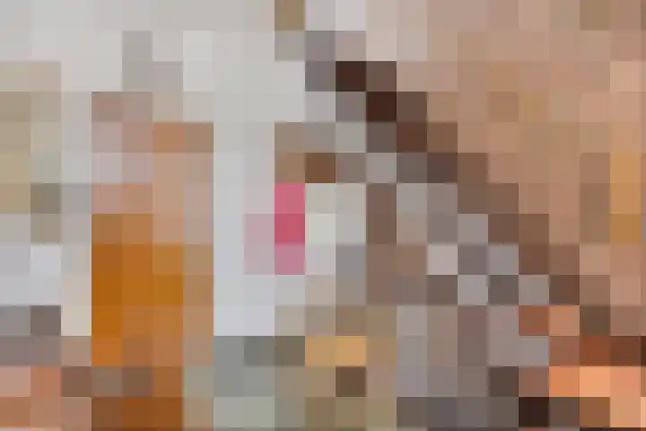 Koningin Wilhelminalaan 97 Swalmen thumbnail 6