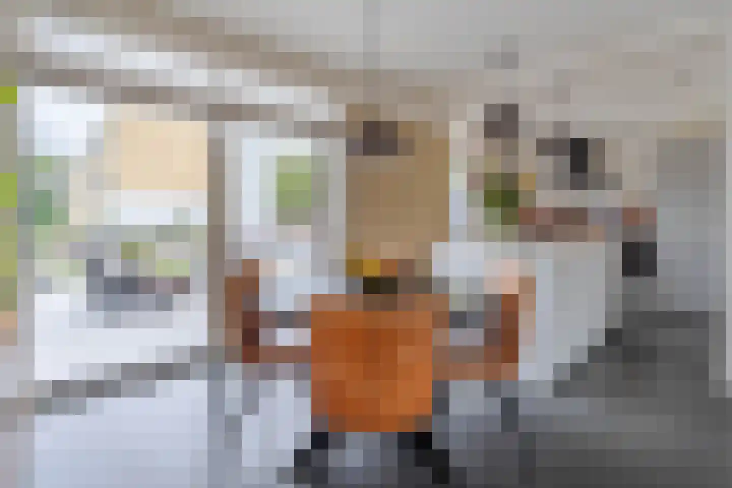 Koningin Wilhelminaplein 3 Waddinxveen thumbnail 10