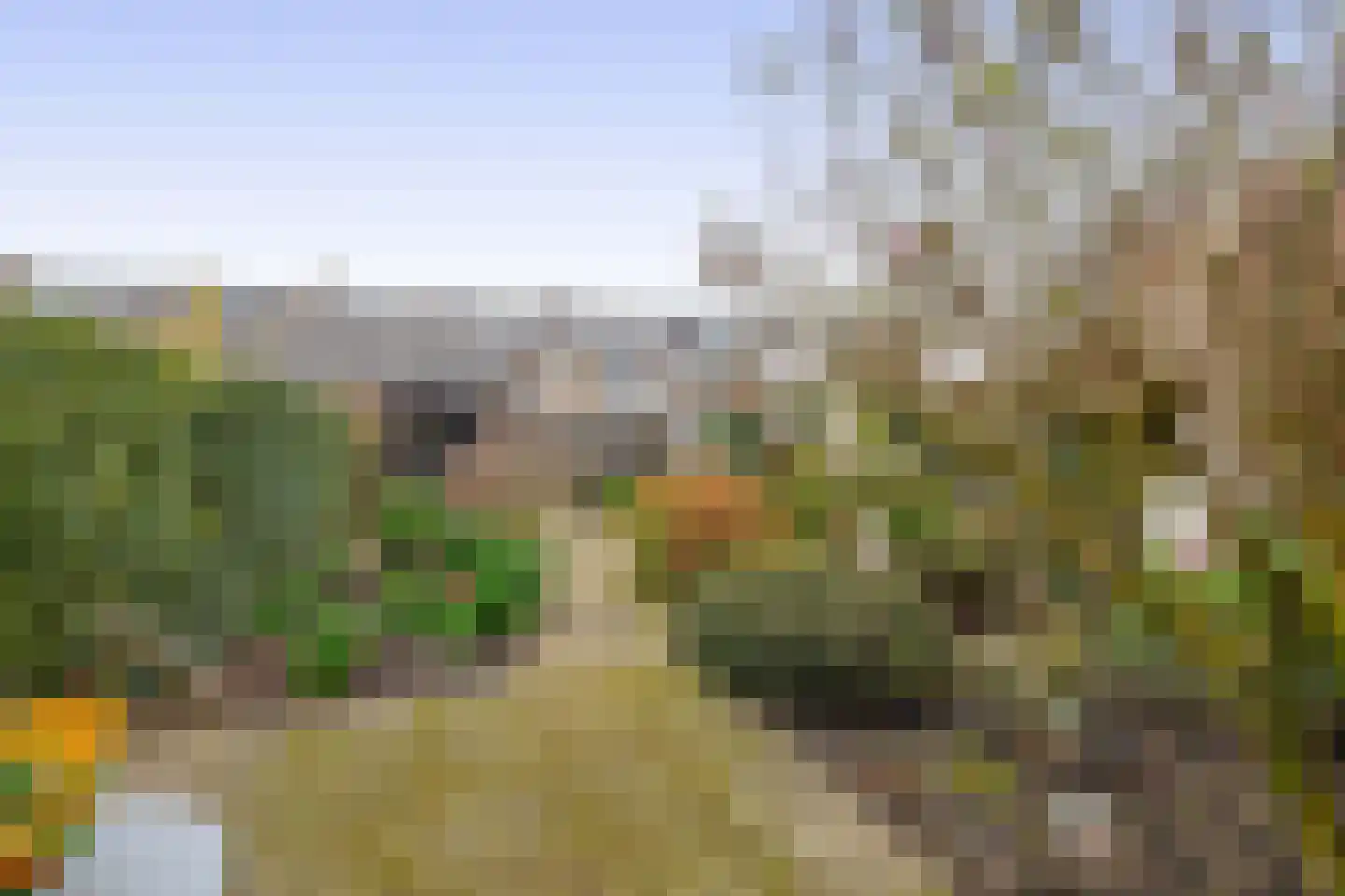 Koningin Wilhelminasingel 15 Waddinxveen thumbnail 17