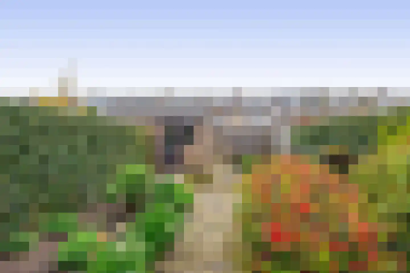 Koningin Wilhelminasingel 15 Waddinxveen thumbnail 18