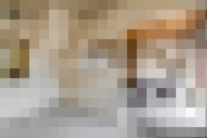 Koningin Wilhelminasingel 17 Waddinxveen thumbnail 13