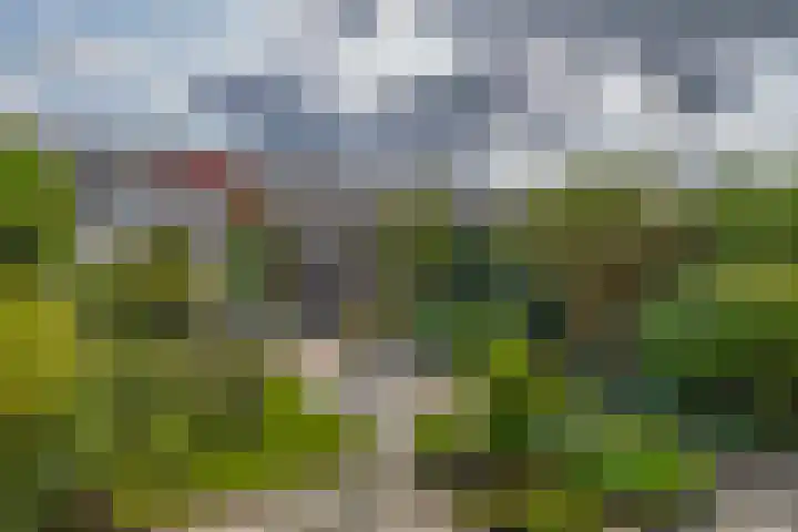 Koningin Wilhelminasingel 17 Waddinxveen thumbnail 17