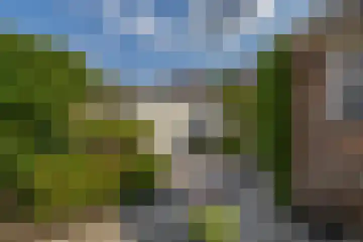Koningin Wilhelminasingel 17 Waddinxveen thumbnail 19