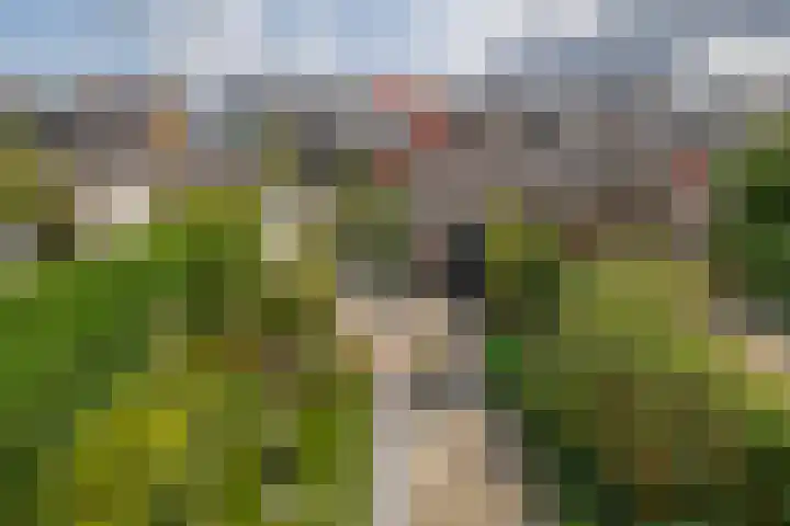 Koningin Wilhelminasingel 17 Waddinxveen thumbnail 21