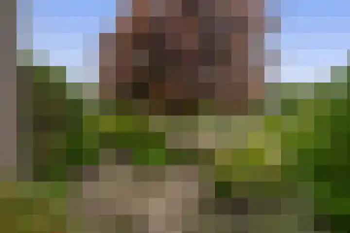 Koningin Wilhelminasingel 21 Lopik thumbnail 30