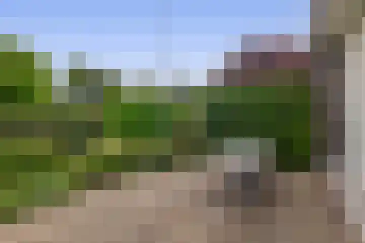 Koningin Wilhelminasingel 21 Lopik thumbnail 32