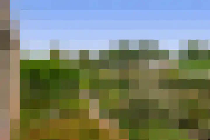 Koningin Wilhelminasingel 21 Lopik thumbnail 33
