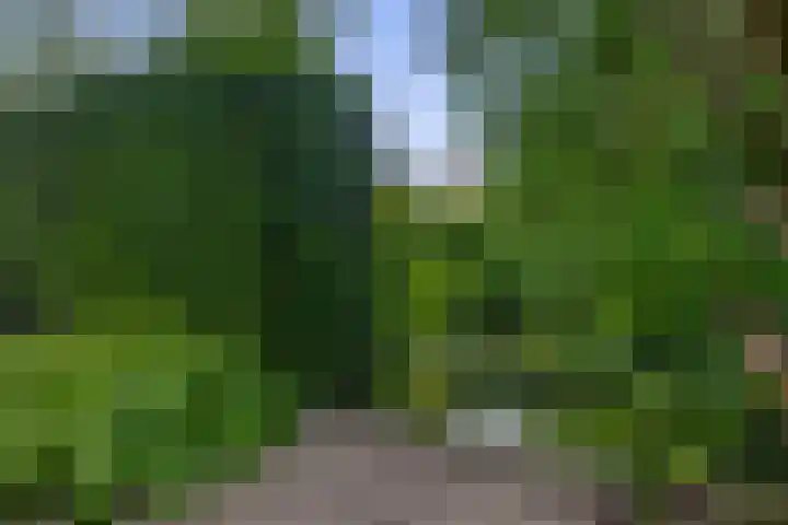 Koningin Wilhelminasingel 21 Lopik thumbnail 37