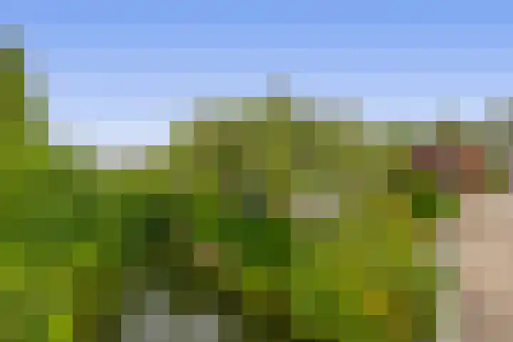 Koningin Wilhelminasingel 21 Lopik thumbnail 38