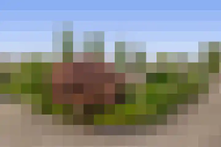 Koningin Wilhelminasingel 21 Lopik thumbnail 8