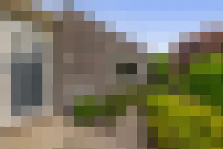 Koningin Wilhelminasingel 21 Lopik thumbnail 9