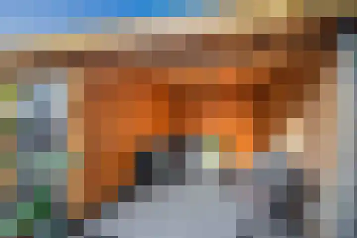 Koningin Wilhelminasingel 36 Waddinxveen thumbnail 19