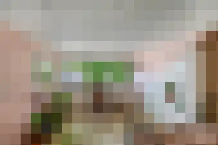 Koningin Wilhelminasingel 36 Waddinxveen thumbnail 4